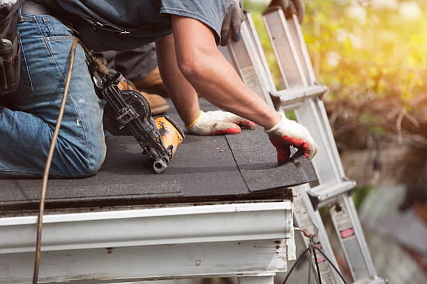 Best Roof Replacement Cost  in Elk Creek, KY